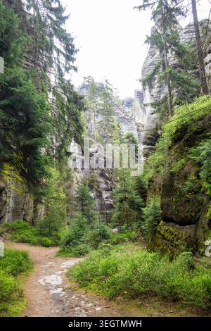 Ruhiger natürlicher Korridor umgeben von moosbedeckten Sandsteinformationen und Felsen Stockfoto