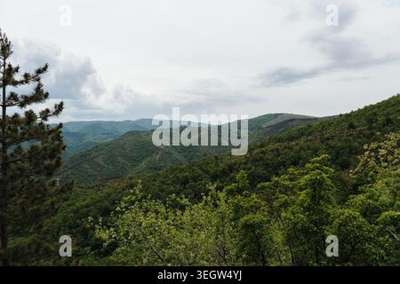 Panoramischer Frühlingsblick auf Waldberge und bewölkten Himmel am Stolovi-Gebirge in Serbien. Konzept von Freiheit, Reisen und unberührter Balkan-Natur. Stockfoto