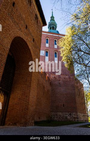 Eine dramatische vertikale Aufnahme der mittelalterlichen roten Ziegelbefestigungsmauern mit einem alten hölzernen Portcullis-Tor. Im Hintergrund eine majestätische Katze Stockfoto