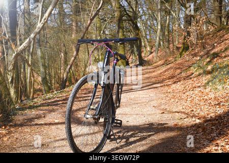 Fahrrad im Park. Ein Sportfahrrad steht auf einem unbefestigten Weg in einem Park, der von der Frühlingssonne zwischen großen Bäumen beleuchtet wird. Radfahren in der Natur. Stockfoto