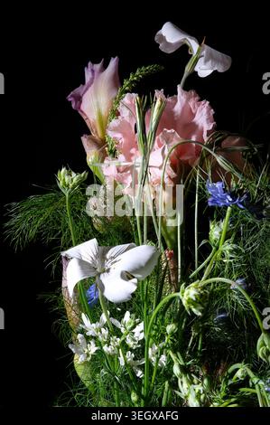 Auswahl an geschnittenen Gartenblumen in Vase auf schwarzem Hintergrund, norfolk, england Stockfoto
