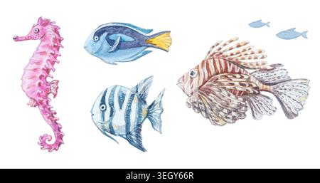 Wasserfarbe Rotes Meer Tiere isoliert auf weißem Hintergrund. Handgezeichnete Marine-Kollektion mit niedlichem Meeresseepferd, blauem Tang, Sträfling Tang und lio Stockfoto
