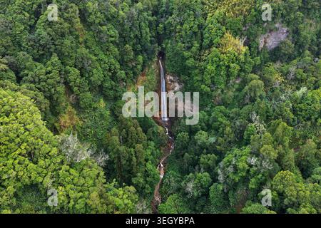 Aus der Vogelperspektive auf den Wasserfall Cascata da Ribeira Quente, der durch felsige Klippen umrahmt wird, umgeben von dichtem grünen Wald in Ribeira Quente, Azoren, Portugal. Stockfoto