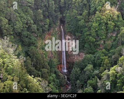 Aus der Vogelperspektive auf den Wasserfall Cascata da Ribeira Quente, der eine felsige Klippe hinabstürzt und von dichtem grünen Wald umgeben ist, in Ribeira Quente, Azoren, Portugal. Stockfoto