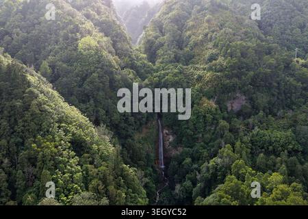 Blick aus der Vogelperspektive auf den Wasserfall Cascata da Ribeira Quente, eingebettet in einen üppig grünen Wald und steiles Tal Ribeira Quente, Azoren, Portugal. Stockfoto