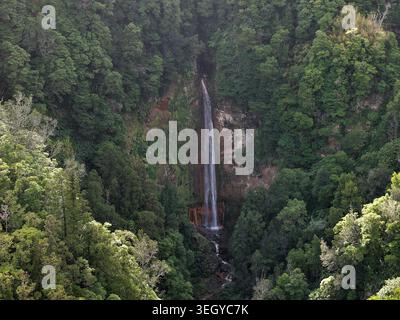 Blick aus der Vogelperspektive auf den Wasserfall Cascata da Ribeira Quente, der von dichten grünen Wäldern und üppiger Vegetation umgeben ist, Stockfoto