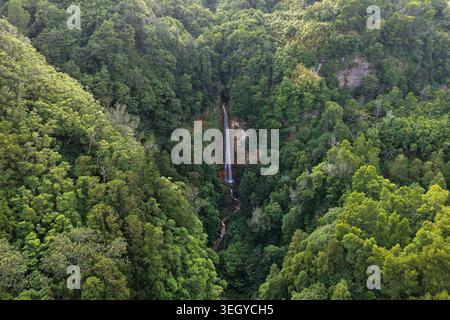 Aus der Vogelperspektive auf den Wasserfall Cascata da Ribeira Quente, der einen steilen Hügel hinabstürzt und von dichtem grünen Wald umgeben ist, in Ribeira Quente, Azoren, Portuga Stockfoto
