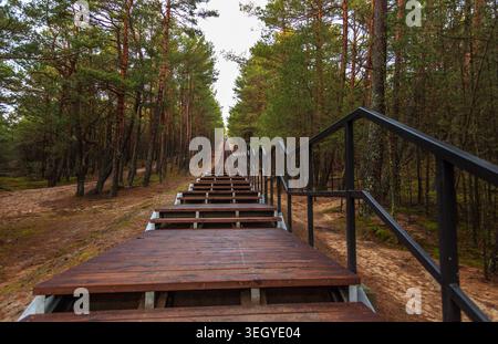 Endlose Holztreppe führt nach oben durch einen dichten Kiefernwald, symbolisiert Fortschritt, Herausforderung und Weg zum Erfolg, Smoldzino, Polen. Stockfoto