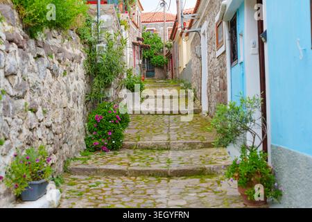Malerische kopfsteingepflasterte Gasse mit alten Steintreppen, lebendigem grünem Moos, traditionellen Häusern und blühenden rosa Blumen im historischen Dorf Molyv Stockfoto