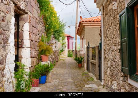 Enge Kopfsteinpflasterallee im historischen Dorf Molyvos, Lesbos, Griechenland, mit traditionellen Steinhäusern, Topfpflanzen und leuchtendem Gelb Stockfoto