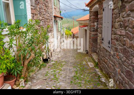 Kopfsteinpflasterallee, die sich zwischen traditionellen Steinhäusern mit grünen und grauen Fensterläden im historischen Dorf Molyvos auf der Insel Lesbos, Griechenland, schlängelt. Stockfoto
