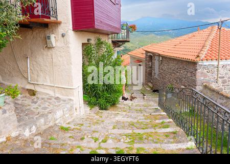 Kopfsteinpflastertreppen hinunter durch traditionelle Steinhäuser im Dorf Molyvos, Lesbos, Griechenland, mit mehreren streunenden Katzen, grünen Pflanzen und Moun Stockfoto