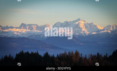 Aus der Vogelperspektive auf die schneebedeckten Gipfel des Mont Blanc-Massivs, die im goldenen Stundenlicht über einem dunklen Kiefernwald und den trüben blauen Tälern Chamonix leuchten Stockfoto