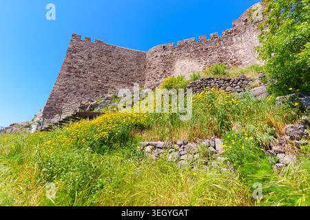 Beeindruckender Tiefwinkelschuss der riesigen Steinmauern der Burg Molyvos, die sich über einem grünen Hügel erheben, der von lebhaften gelben Frühlingswildströmen bedeckt ist Stockfoto