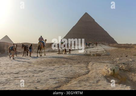 Pferde- und Kamelreiten werden Touristen in der Nähe der Großen Sphinx angeboten, mit der Pyramide von Khafre im Hintergrund, Gizeh Stockfoto