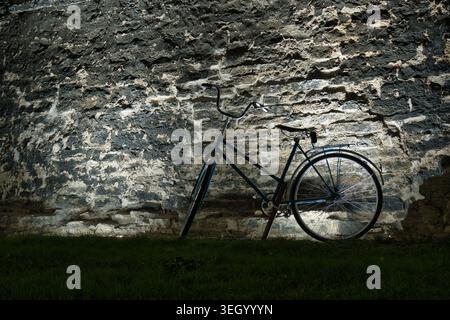 Vintage-Fahrrad parkt vor einer rustikalen Steinmauer Stockfoto