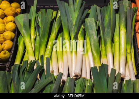 Frischer Lauch wird in den Gemüseregalen des Supermarkts im Lebensmittelgeschäft ausgestellt Stockfoto
