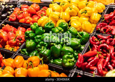 Bunte Paprika und Chili-Paprika werden im Supermarkt ausgestellt, frisches Gemüse in den Regalen des Lebensmittelgeschäfts Stockfoto