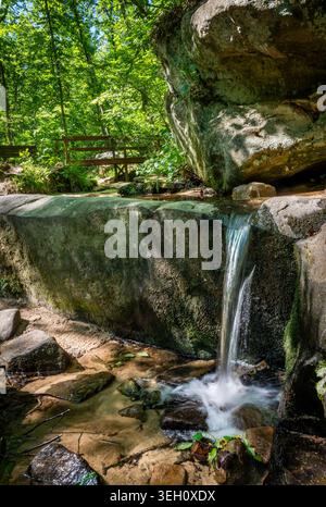 Blick auf einen kleinen Wasserfall, der über moosige Sandsteinfelsen in einen klaren Pool im Pickle Springs Natural Area stürzt, umgeben von üppig grünen Wäldern New of Stockfoto
