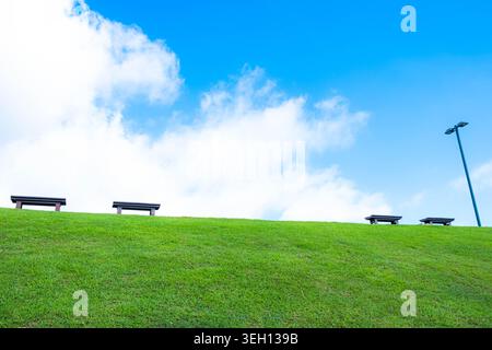 Vier hölzerne Parkbänke auf grünem Grashang mit bewölktem Himmel, Straßenlaterne, flacher Blick, öffentlicher öffentlicher Raum im Freien, bedecktes Tageslicht. Stockfoto