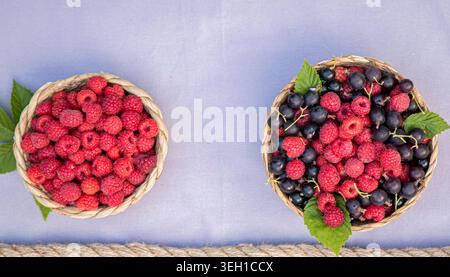 Frische Himbeeren und schwarze Johannisbeeren in Korbkörben auf pastellfarbenem Hintergrund von oben Stockfoto