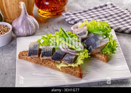 Vorspeise mit eingelegtem Hering auf dunklem Roggenbrot mit Salat und Zwiebeln. Serviert auf einem weißen Teller auf grauem Hintergrund mit Knoblauch und Gewürzen. Rustikales Foo Stockfoto