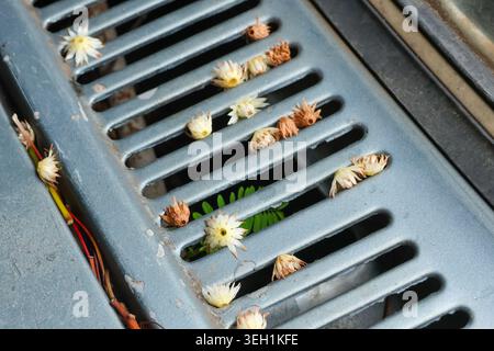 Vergessenes Design im Kühlergrill mit kleinen Blüten, Blütenblättern und Blättern im Inneren. Eine abstrakte Nahaufnahme von Natur und Automobilteilen, die Sinn vermittelt Stockfoto