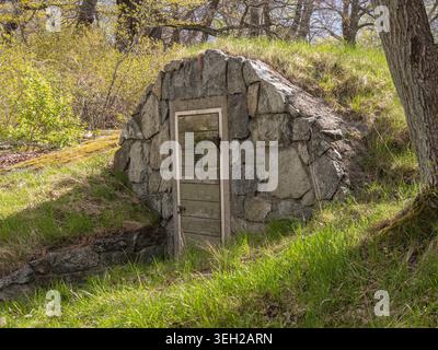 Kleiner Wurzelkeller oder Bunker aus Stein, der in einen grasbewachsenen Hügel mit verwitterter Holztür eingebaut ist, umgeben von Frühlingsgrün und Bäumen in ländlicher Landschaft, d Stockfoto