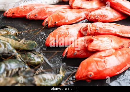 Blick auf frischen roten Fisch und große Garnelen auf einer dunklen nassen Oberfläche auf einem lokalen Markt in Galle, Südprovinz, Sri Lanka. Stockfoto