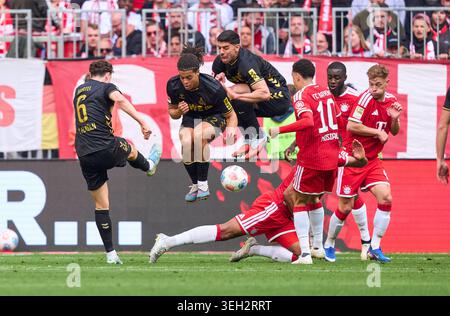 Eric Martel aus Köln tritt den Ball während des Spiels FC BAYERN München – 1. FC Köln am 16. Mai 2026 in der Allianz Arena München. Saison 2025/2026, 1.Bundesliga, FCB, Spieltag 34, Fotograf: ddp-Bilder / STAR-Bilder - DFL-VORSCHRIFTEN VERBIETEN JEDE VERWENDUNG VON FOTOGRAFIEN als BILDSEQUENZEN und/oder QUASI-VIDEO - Stockfoto