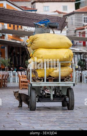 Tabby Cat blickt unter einem Wagen hervor, der Waren im Hafen von Hydra, Griechenland, transportiert. Stockfoto