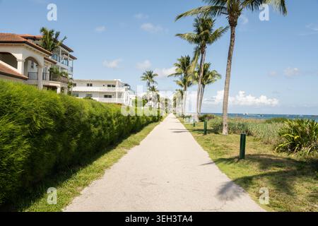 Ein gepflasterter Wanderweg am Wasser schlängelt sich durch eine üppige Küstenlandschaft, gesäumt von alten Palmen in Palm Beach Shores, Florida. Stockfoto