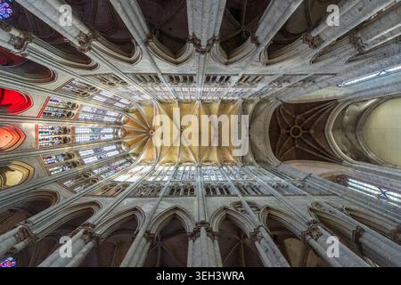 Ein spektakulärer, flacher Blick auf die Gewölbe der Kathedrale von Beauvais. Es verfügt über gruppierte Säulen, Holztraverse, das Rosenfenster und Stockfoto