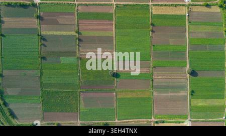 Luftaufnahme von Fleckenfeldern aus der Drone, Georgia Stockfoto
