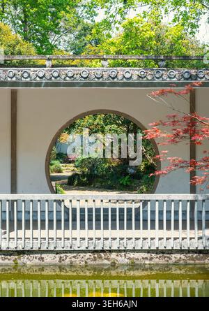 Ruhiger, traditioneller chinesischer Garten mit blick auf ein rundes Mondtor, mit einem roten Ahornbaum und grünem Laub, das sich im stillen Wasser spiegelt Stockfoto