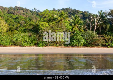 Andaman Coast Beach mit üppigem Grün. Sandige Küste trifft auf ruhiges Wasser. Dichter tropischer Wald im Hintergrund. Stockfoto