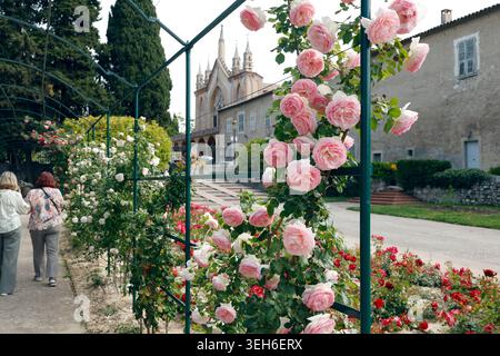 Nizza, Frankreich - 8. Mai 2026. Kletternde rosa Rosen, die auf Metallspalieren im alten europäischen Garten blühen. Malerischer Blick auf den üppigen Blumenbogen mit historischem Hintergrund Stockfoto