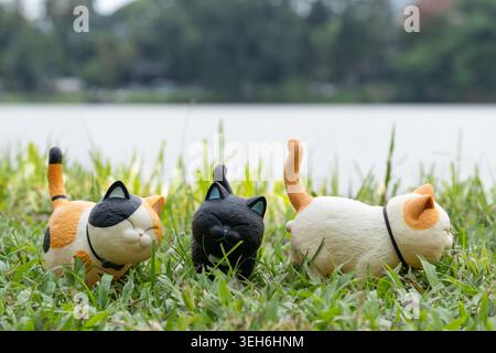 CHIANG Mai, THAILAND - 21. MAI 2026: Drei mollige Katzenfiguren liegen auf grünem Gras am Reservoir, Calico schwarz und orange weiß Katzenspielzeug Sammlung Re Stockfoto
