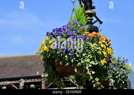 Bunter hängender Blumenkorb auf dekorativer Straßenhalterung aus schwarzem Metall Stockfoto