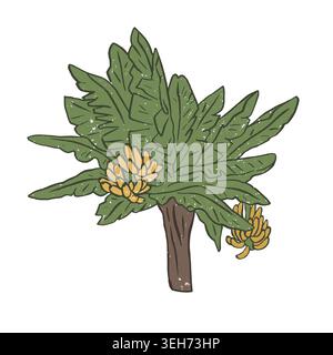Strukturierte Vektor-Illustration eines isolierten tropischen Bananenbaums mit gelben Fruchtbündeln. Handgezeichnete exotische botanische Grafik im naiven Stil Stock Vektor