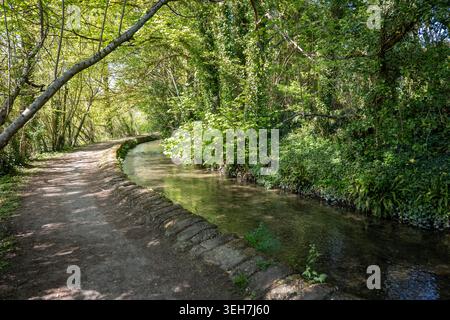 Waldweg am Bach Stockfoto
