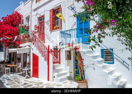 Lebhafte Farben in einer Straße von Mykonos mit Bougainvillea, Kykladen, Griechenland Stockfoto