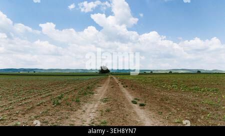 Aus der Vogelperspektive einer unbefestigten Straße, die sich durch landwirtschaftliche Felder in Richtung sanfter Hügel unter einem bewölkten blauen Himmel in Novi Sad, Vojvodina, Serbien erstreckt. Stockfoto