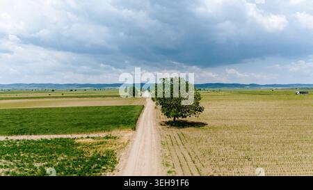 Aus der Vogelperspektive einer unbefestigten Straße, die sich durch weite landwirtschaftliche Felder mit einem einsamen Baum unter einem bewölkten Himmel in Novi Sad, Vojvodina, Serbien erstreckt. Stockfoto