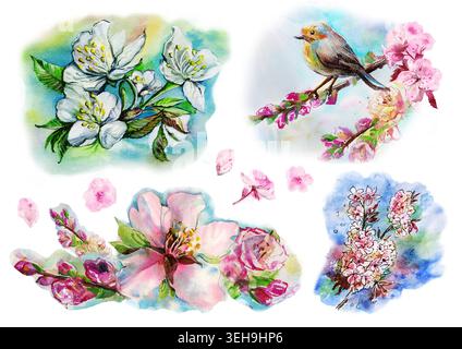 Aquarell Frühlingsblumenelemente mit einem niedlichen Vogel auf einem blühenden Zweig, weiße Apfelblüten, rosa Kirschblüten isoliert auf weißem Hintergrund. Stockfoto