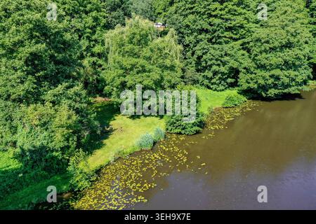 Luftaufnahme des Regnitzaltwassers mit saftig grünen Bäumen und schwimmenden Wasserpflanzen auf der Wasseroberfläche in Forchheim, Bayern, Deutschland. Stockfoto