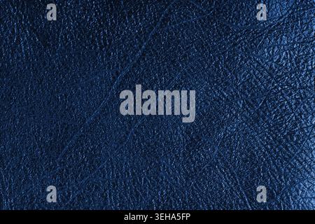 Nahaufnahme, Makro aus glänzendem blauem Echtleder mit sichtbaren Falten und natürlicher Körnung, reichhaltiger abstrakter Hintergrund für Design. Oberfläche mit Metall Stockfoto