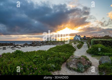 Eine spektakuläre aufgehende Sonne beleuchtet die bretonische Küste. Ein sandiger Pfad durch violette Carpobrotusblüten führt zu einem typischen weißen Haus in Finistè Stockfoto