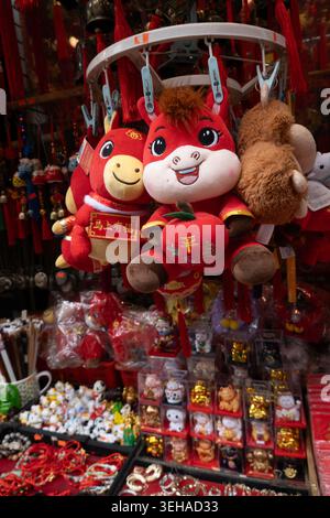 Chinatown ist ein ethnisches Viertel und Touristenattraktion in Lower Manhattan, 2026 New York City, USA Stockfoto