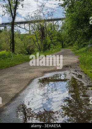 Eine klare Regenwasserpfütze auf einem Schotterweg spiegelt perfekt den hellen Himmel, die Wolken und die überhängenden Bäume unter der hohen Brücke des Ravensburg Blvd in P wider Stockfoto